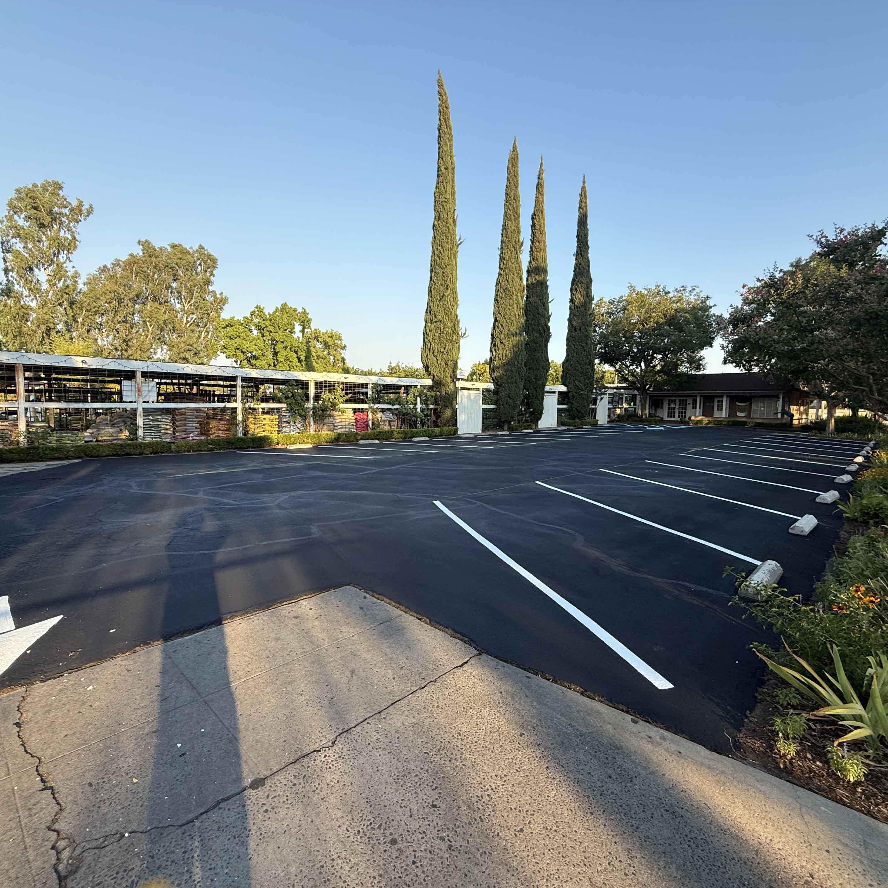 Seal Coating project 6